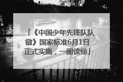 《中国少年先锋队队徽》国家标准6月1日正式实施，一图读懂