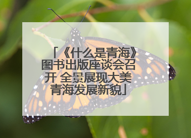 《什么是青海》图书出版座谈会召开 全景展现大美青海发展新貌