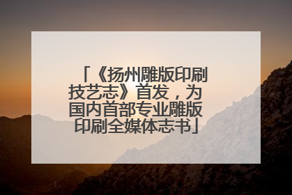《扬州雕版印刷技艺志》首发，为国内首部专业雕版印刷全媒体志书
