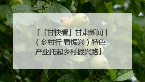 「甘快看」甘肃新闻丨（乡村行 看振兴）特色产业托起乡村振兴路