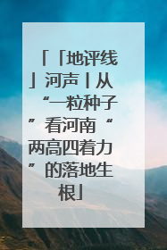 「地评线」河声丨从“一粒种子”看河南“两高四着力”的落地生根