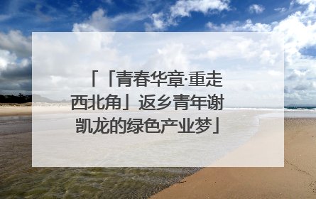 「青春华章·重走西北角」返乡青年谢凯龙的绿色产业梦