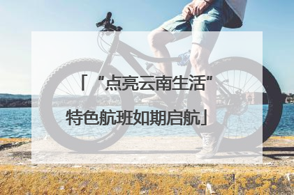 “点亮云南生活”特色航班如期启航