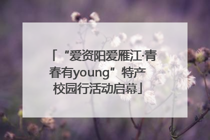 “爱资阳爱雁江·青春有young”特产校园行活动启幕