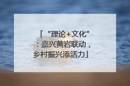 “理论+文化”：嘉兴黄岩联动，乡村振兴添活力