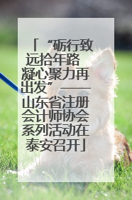 “砺行致远拾年路 凝心聚力再出发”——山东省注册会计师协会系列活动在泰安召开