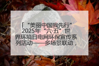 “美丽中国我先行” 2025年“六·五”世界环境日电网环保宣传系列活动——多场景联动，共筑生态发展新图景