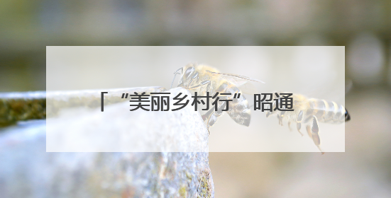 “美丽乡村行”昭通专场“演”出新花样