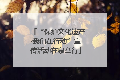 “保护文化遗产·我们在行动”宣传活动在泉举行