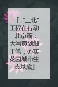“三北”工程在行动·北京篇：大写意到细工笔，夯实花园城市生态基底