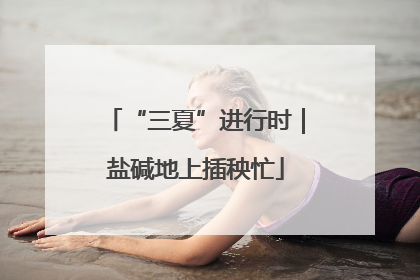 “三夏”进行时｜盐碱地上插秧忙