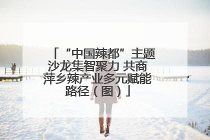 “中国辣都”主题沙龙集智聚力 共商萍乡辣产业多元赋能路径（图）