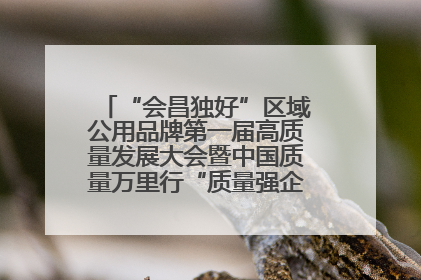 “会昌独好”区域公用品牌第一届高质量发展大会暨中国质量万里行“质量强企•质品行动”进会昌启动仪式成功举办