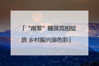 “南繁”睡莲竞相绽放 乡村振兴添色彩