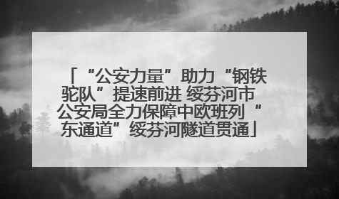“公安力量”助力“钢铁驼队”提速前进 绥芬河市公安局全力保障中欧班列“东通道”绥芬河隧道贯通