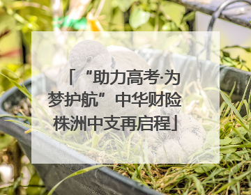 “助力高考·为梦护航”中华财险株洲中支再启程