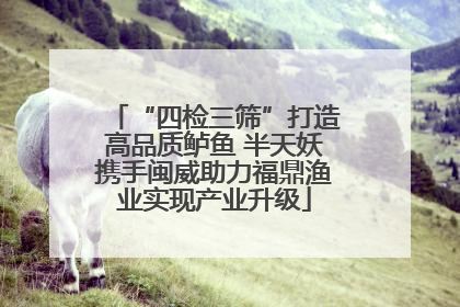 “四检三筛”打造高品质鲈鱼 半天妖携手闽威助力福鼎渔业实现产业升级