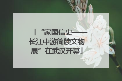 “家国信史——长江中游简牍文物展”在武汉开幕