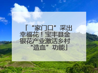 “家门口”采出幸福花！宝丰县金银花产业激活乡村“造血”功能
