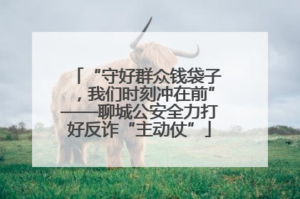 “守好群众钱袋子，我们时刻冲在前”——聊城公安全力打好反诈“主动仗”