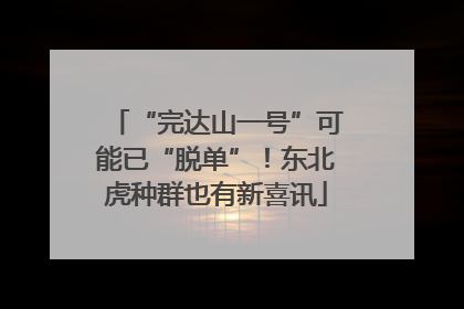 “完达山一号”可能已“脱单”！东北虎种群也有新喜讯