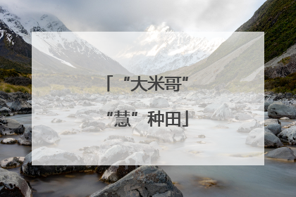 “大米哥”“慧”种田