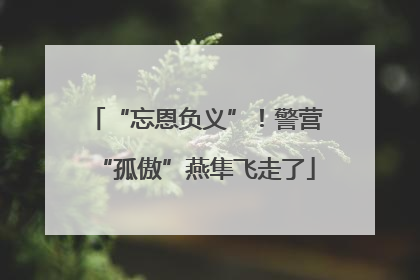 “忘恩负义”！警营“孤傲”燕隼飞走了