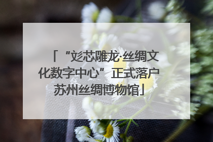 “彣芯雕龙·丝绸文化数字中心”正式落户苏州丝绸博物馆