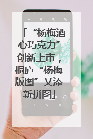“杨梅酒心巧克力”创新上市，桐庐“杨梅版图”又添新拼图