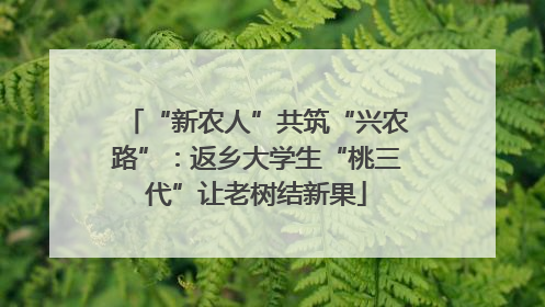 “新农人”共筑“兴农路”：返乡大学生“桃三代”让老树结新果