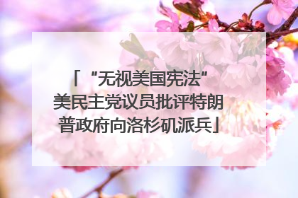 “无视美国宪法” 美民主党议员批评特朗普政府向洛杉矶派兵