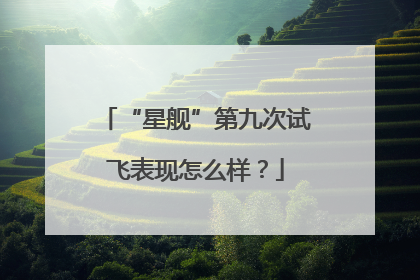 “星舰”第九次试飞表现怎么样？