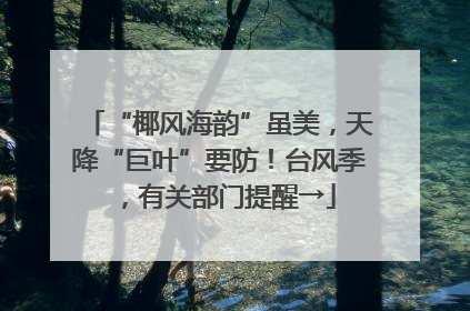 “椰风海韵”虽美，天降“巨叶”要防！台风季，有关部门提醒→