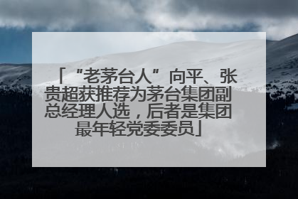 “老茅台人”向平、张贵超获推荐为茅台集团副总经理人选，后者是集团最年轻党委委员
