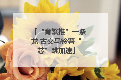 “育繁推”一条龙 古交马铃薯“芯”跳加速