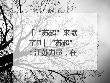 “苏超”来歌了⑪｜“苏超”：江苏力量，在这里聚焦