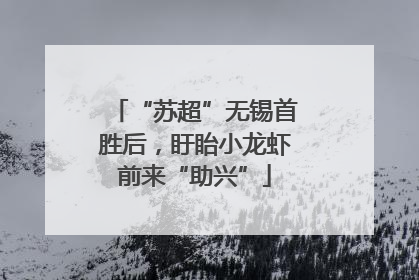 “苏超”无锡首胜后，盱眙小龙虾前来“助兴”