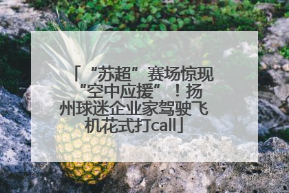 “苏超”赛场惊现 “空中应援”！扬州球迷企业家驾驶飞机花式打call
