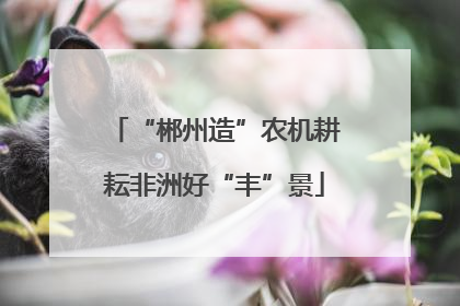 “郴州造”农机耕耘非洲好“丰”景