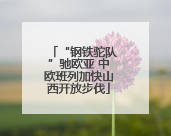 “钢铁驼队”驰欧亚 中欧班列加快山西开放步伐