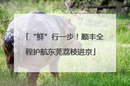 “鲜”行一步！顺丰全程护航东莞荔枝进京