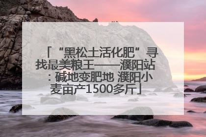“黑松土活化肥”寻找最美粮王——濮阳站：碱地变肥地 濮阳小麦亩产1500多斤