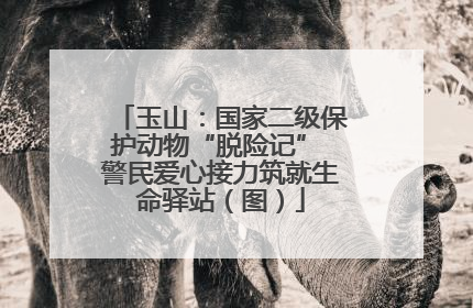 玉山：国家二级保护动物“脱险记” 警民爱心接力筑就生命驿站（图）
