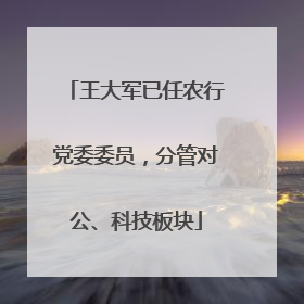 王大军已任农行党委委员，分管对公、科技板块