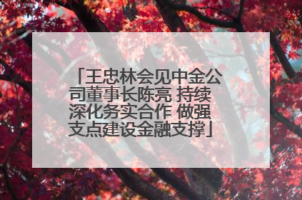 王忠林会见中金公司董事长陈亮 持续深化务实合作 做强支点建设金融支撑