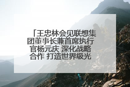 王忠林会见联想集团董事长兼首席执行官杨元庆 深化战略合作 打造世界级光电子信息产业集群