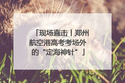 现场直击丨郑州航空港高考考场外的“定海神针”