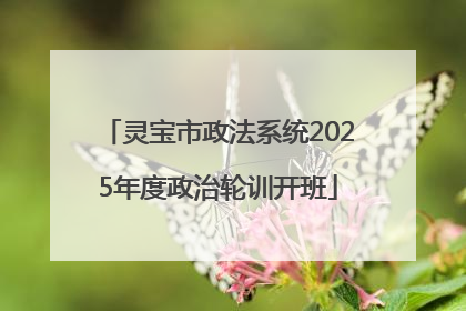 灵宝市政法系统2025年度政治轮训开班