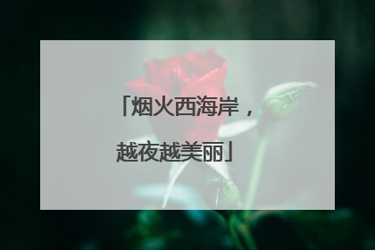 烟火西海岸，越夜越美丽