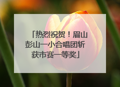 热烈祝贺！眉山彭山一小合唱团斩获市赛一等奖